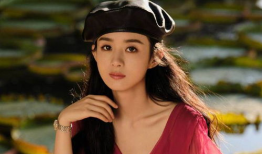 赵丽颖吃瓜爆料最新,一场惊心动魄的吃瓜大作战